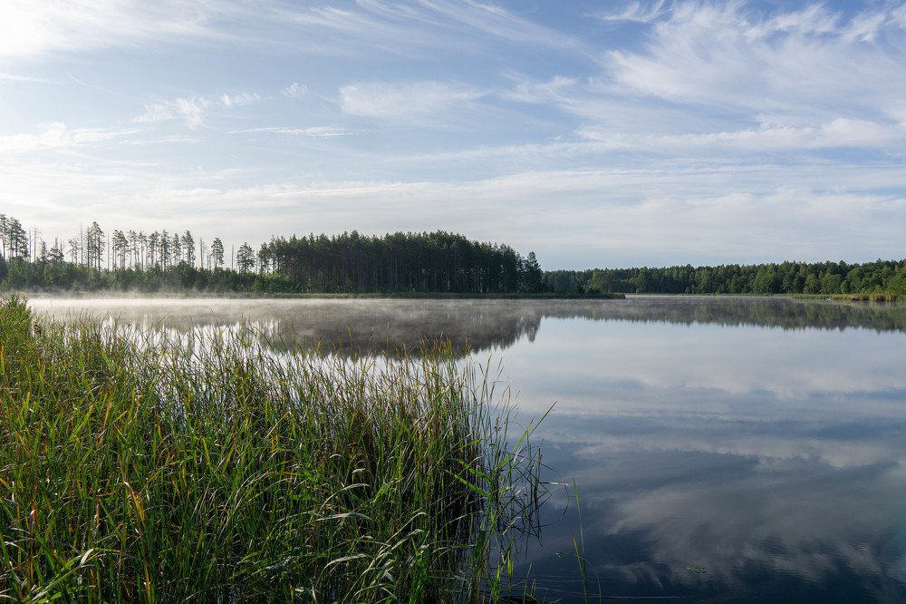 Photograph by Алексей Орнатский