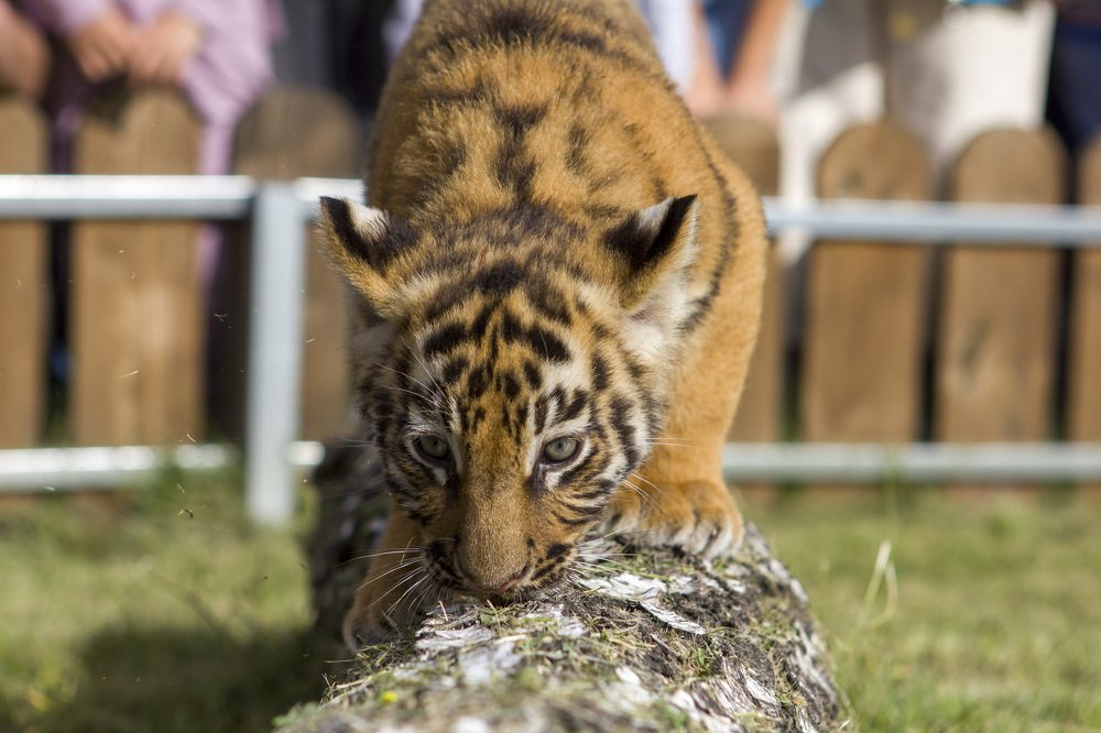 Photograph by Иван Долгов