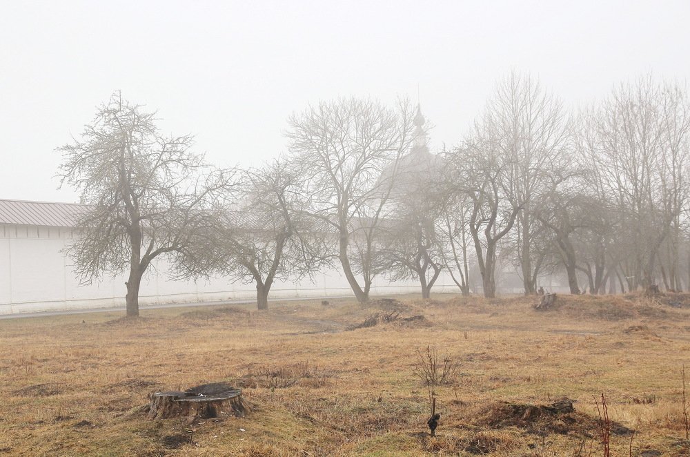 Утро у Свенского монастыря