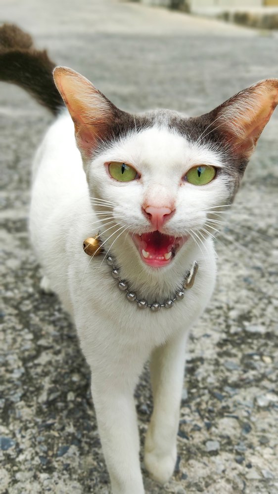 Photograph by TYM XS