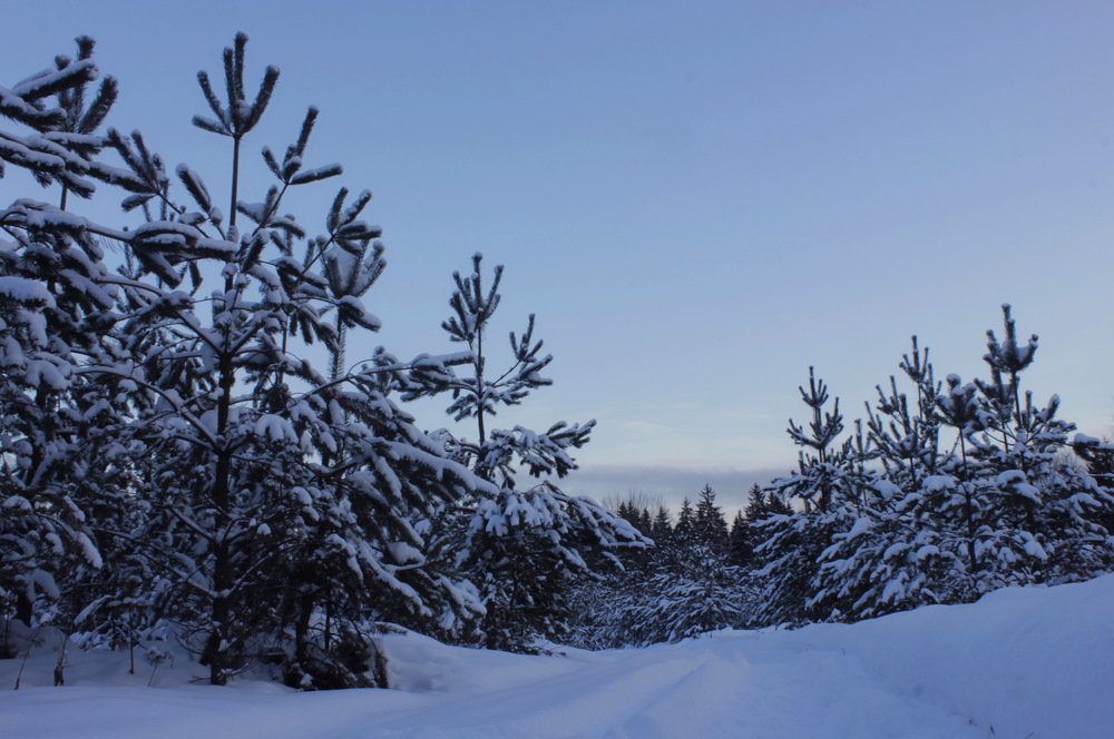 Photograph by Светлана Попкова