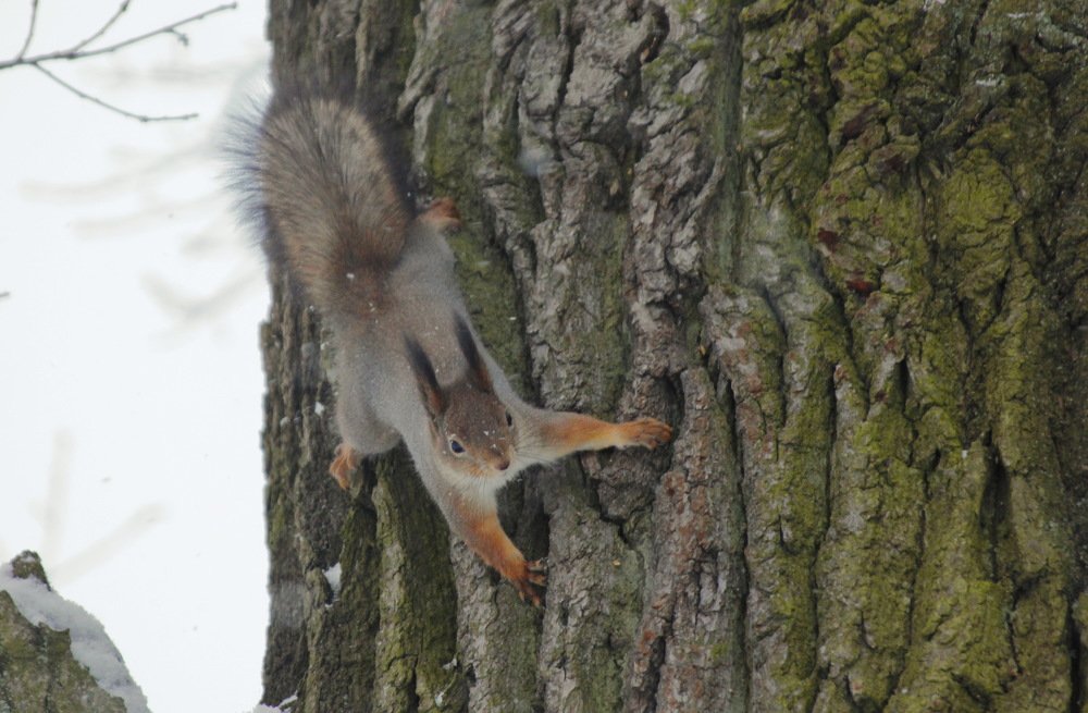 Photograph by Светлана Попкова