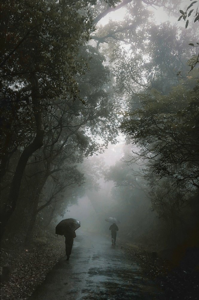 Photograph by Atul mehta