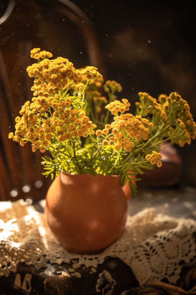 Фотография автора Мария Сурмачева