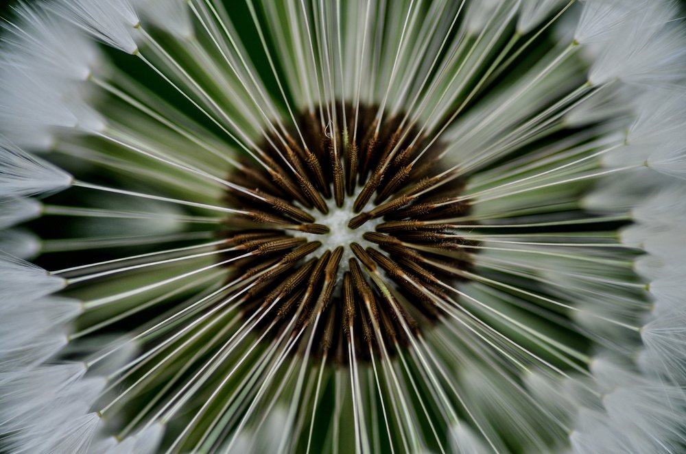 Photograph by Дмитрий Балатский