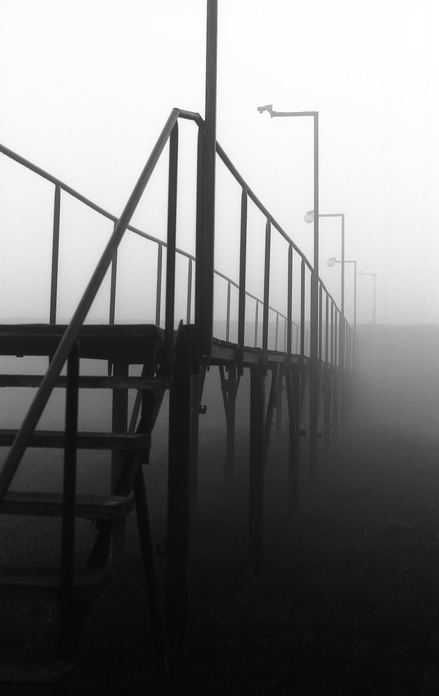 Photograph by Nenad Pilipovic