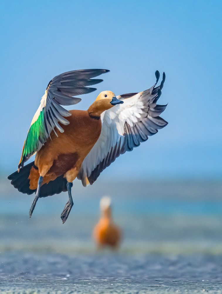 Photograph by Sandipan Ghosh