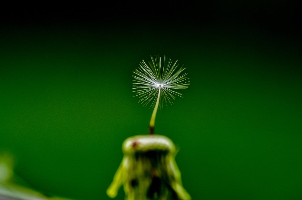 Photograph by Дмитрий Балатский