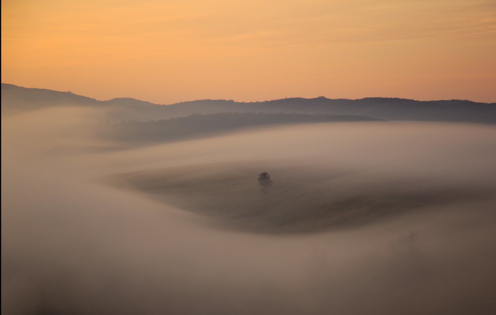 V objati (V. objati)