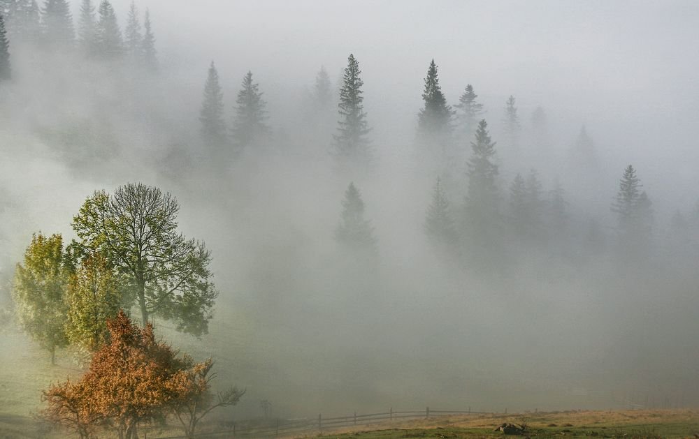 Photograph by Милокост Алексей