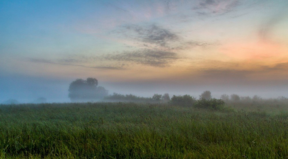 Photograph by Александра Шайдурова