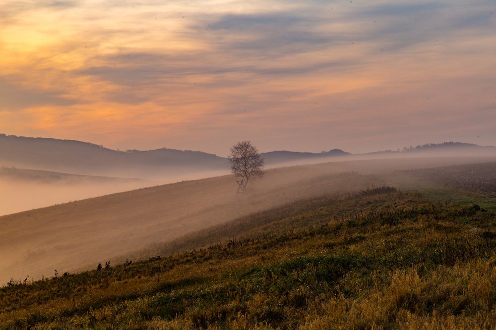 Photograph by Magdalena Kolenicova