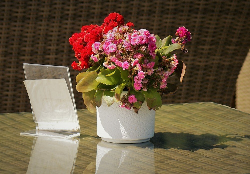 Photograph by Kálmán Rádai