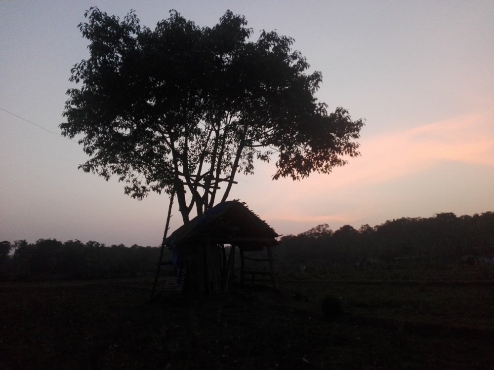 Watchhouse... on the foresttrees.