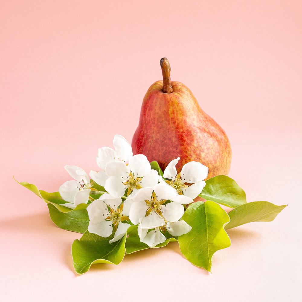 Photograph by Анна Сохрякова