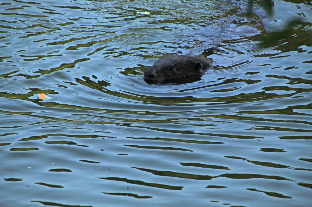 Photograph by Илья Беликов