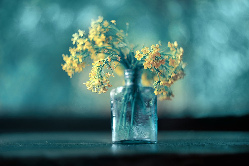 Photograph by Шаталина Оксана