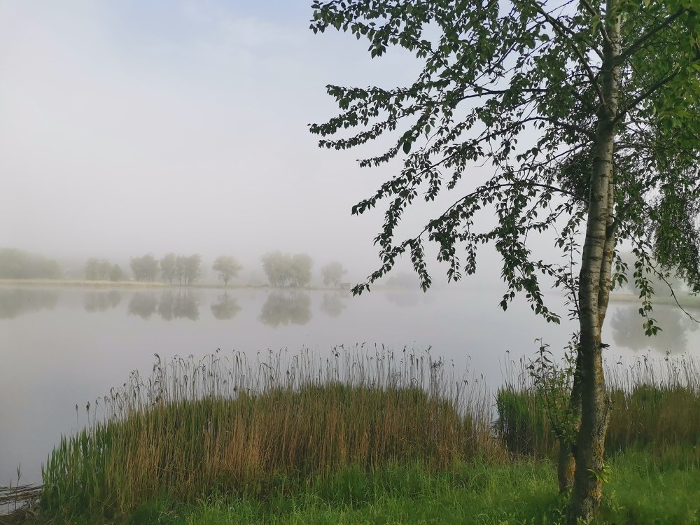 Photograph by Екатерина Ремез