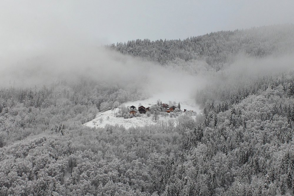 Photograph by Александр Волжинский