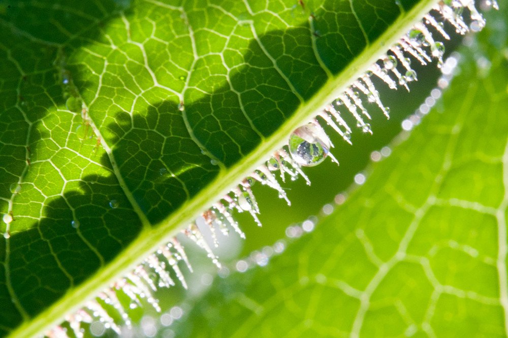 Photograph by Юлія Опанасюк