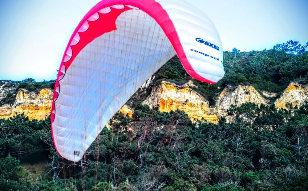 Photograph by Maria Teresa Teixeira de Sousa