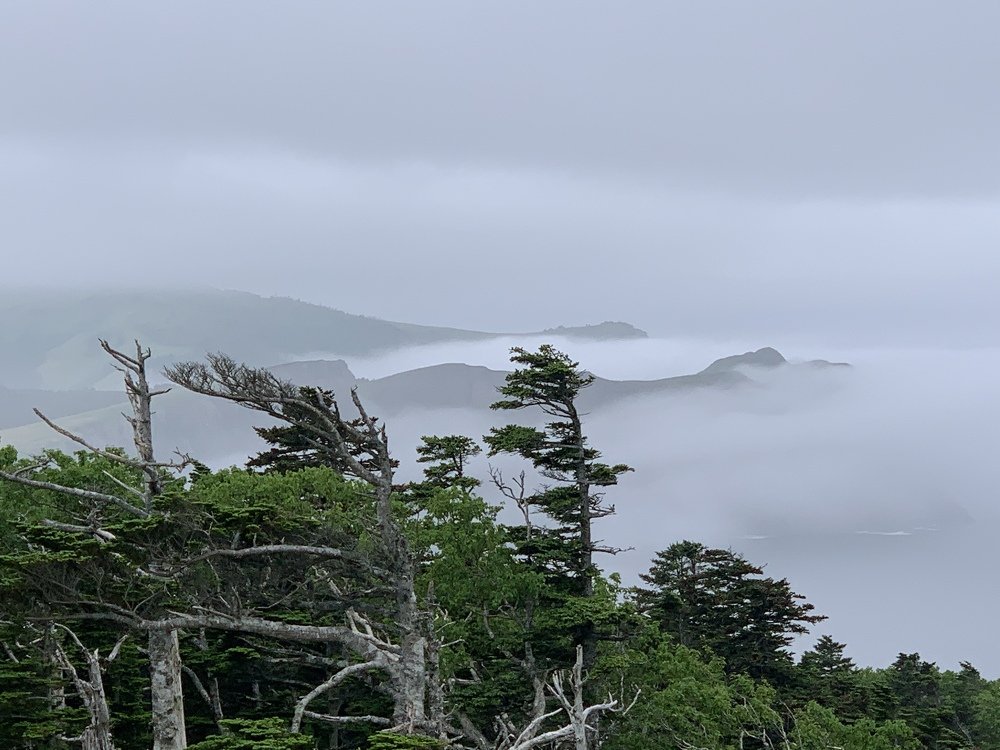 Photograph by Лазурченко Анастасия