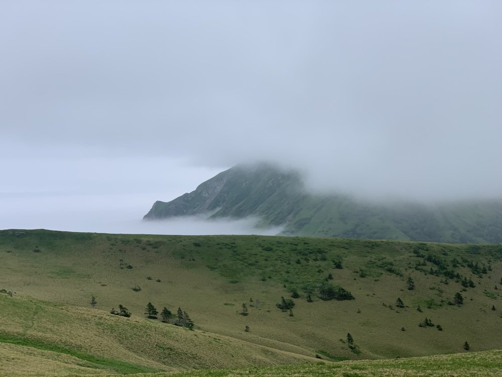 Photograph by Лазурченко Анастасия