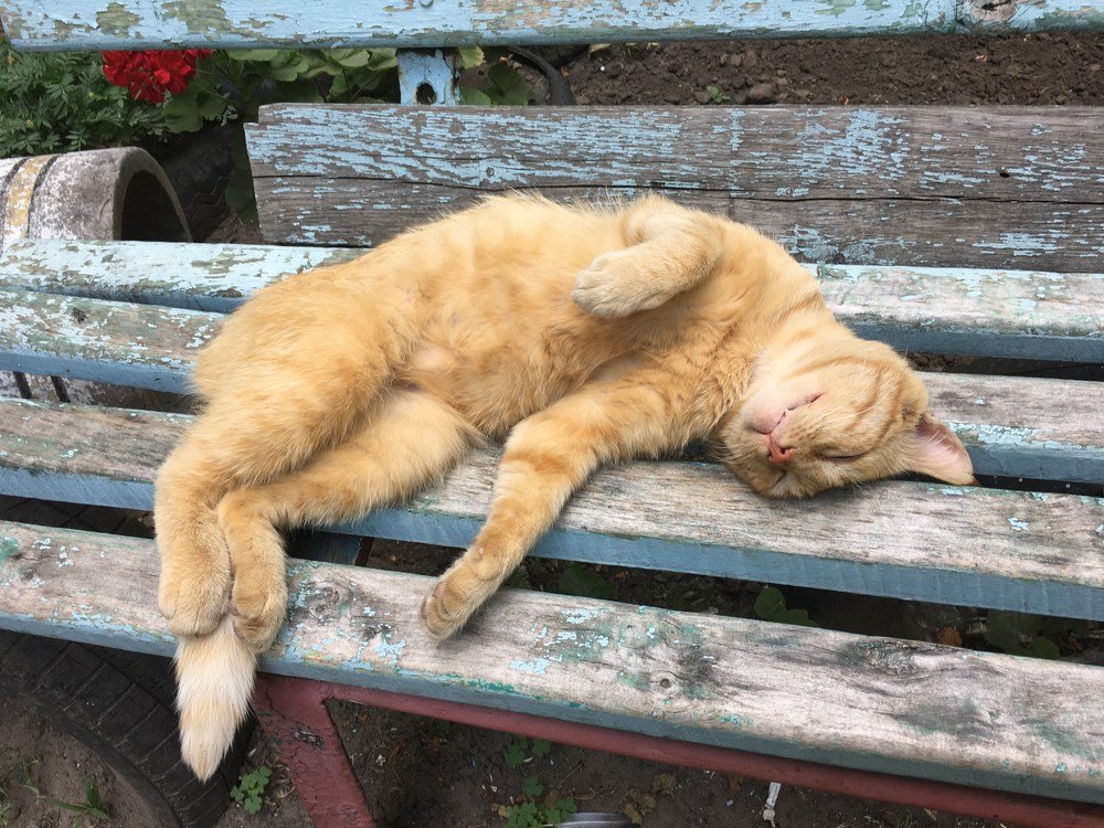 Фотография автора Tetiana Усольцева