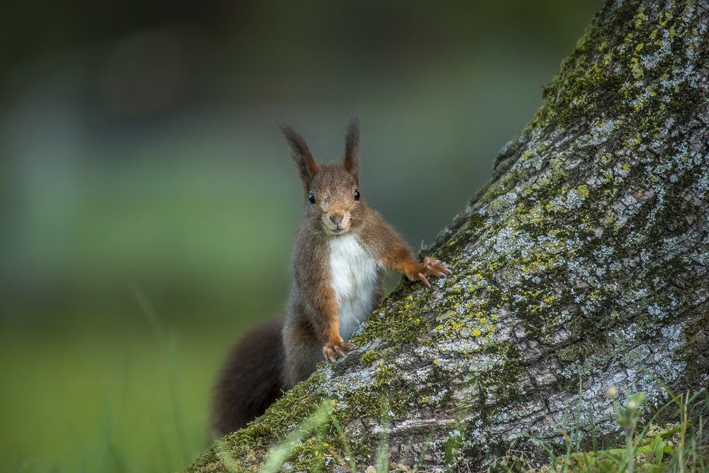 Photograph by Srikanth Santhinathan