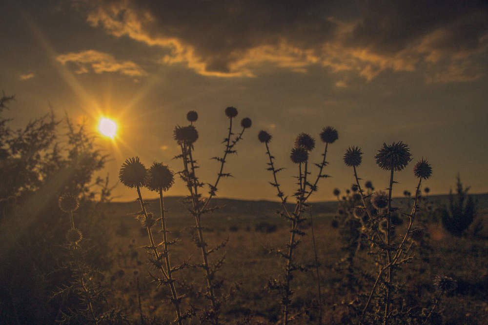Photograph by Оксана Кийкова