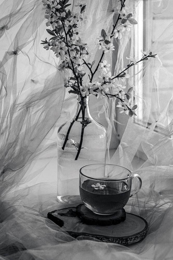 Photograph by Ольга Воронова