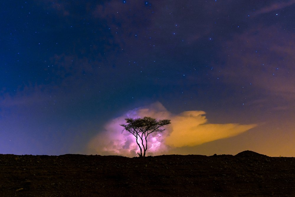 Photograph by Rahul Bansal