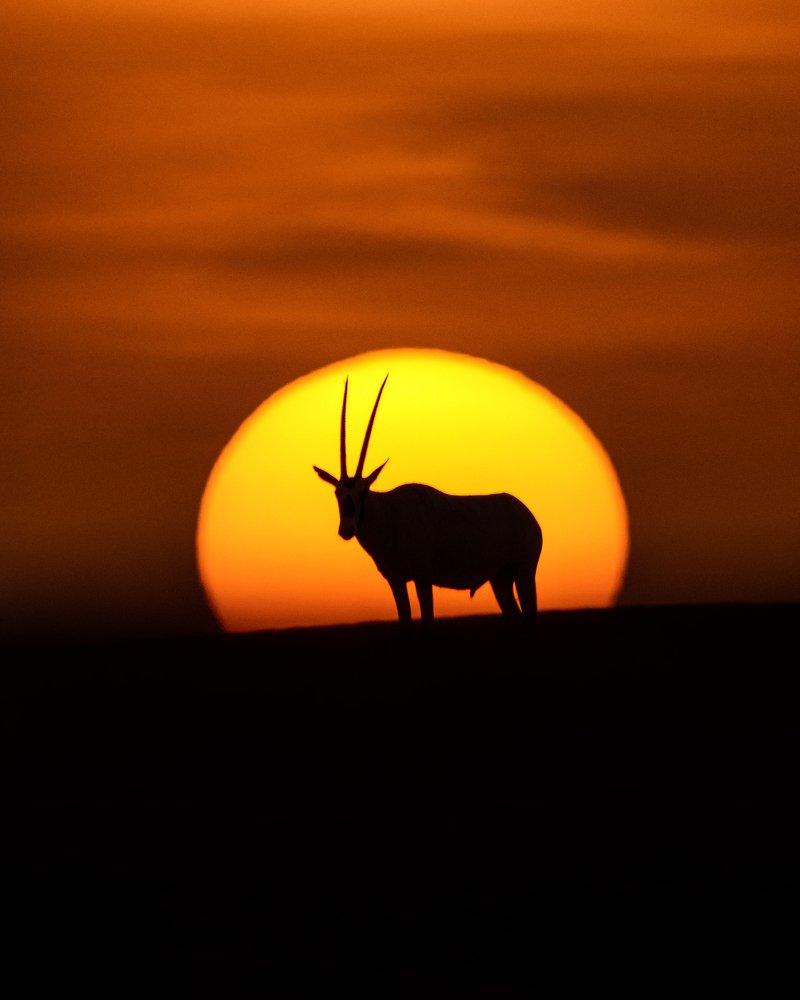 Photograph by Rahul Bansal