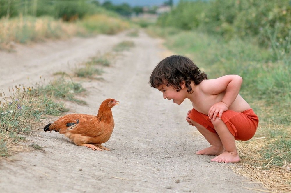 Photograph by Карина Бакалян