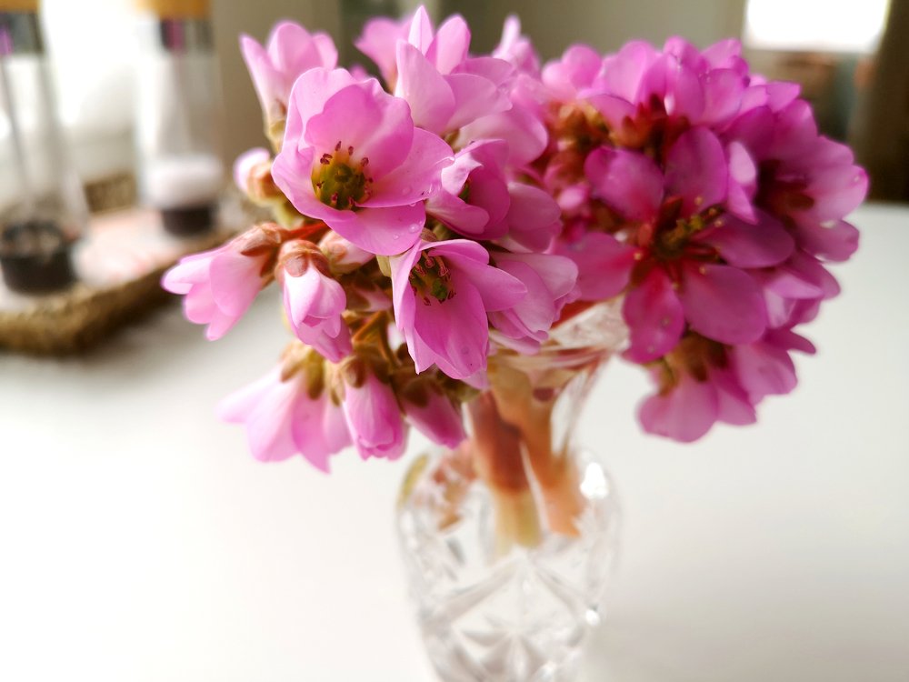 Photograph by Marina Razheva