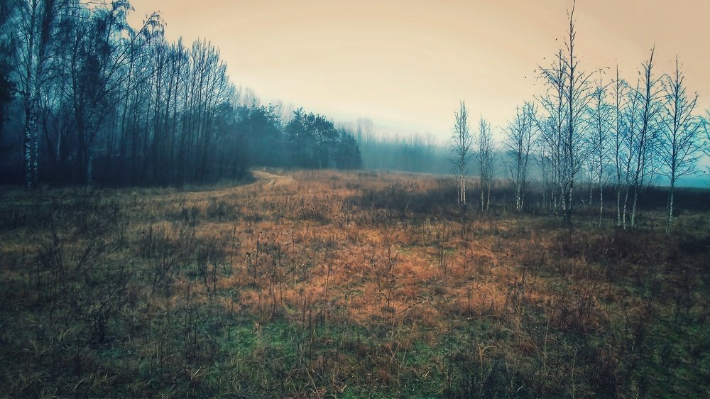 Photograph by Наталья Микулич