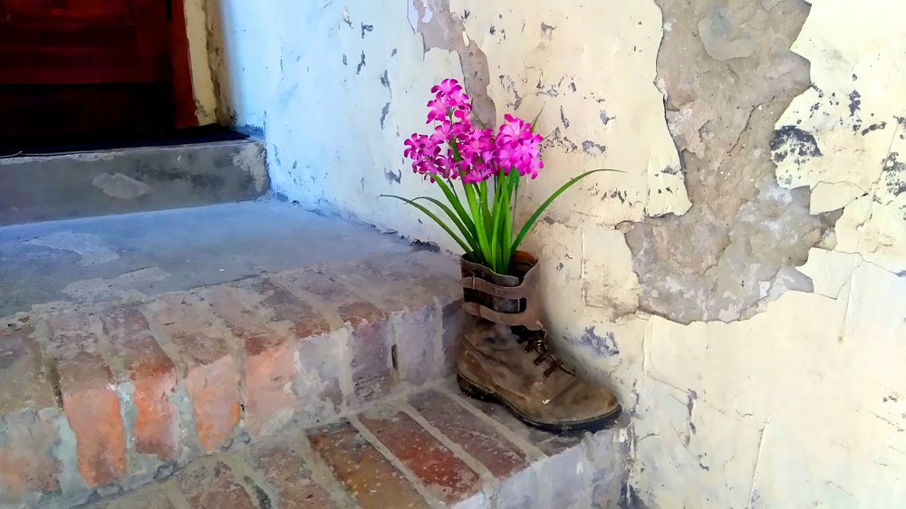 Photograph by Marina Razheva