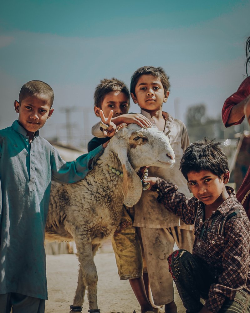 Photograph by Omar Ayub