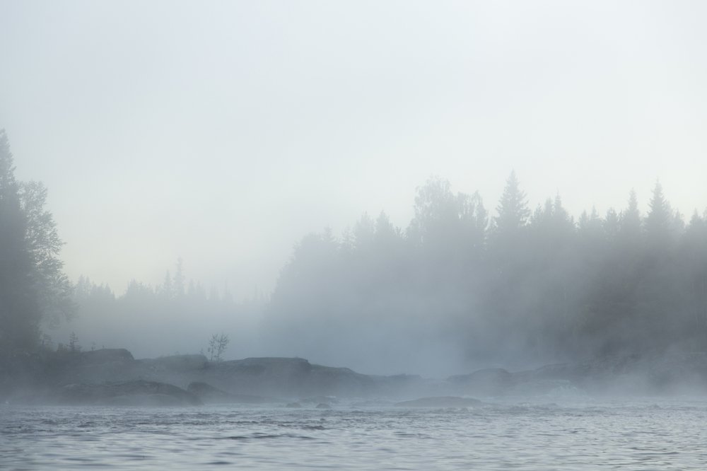 Photograph by Полина Чезганова