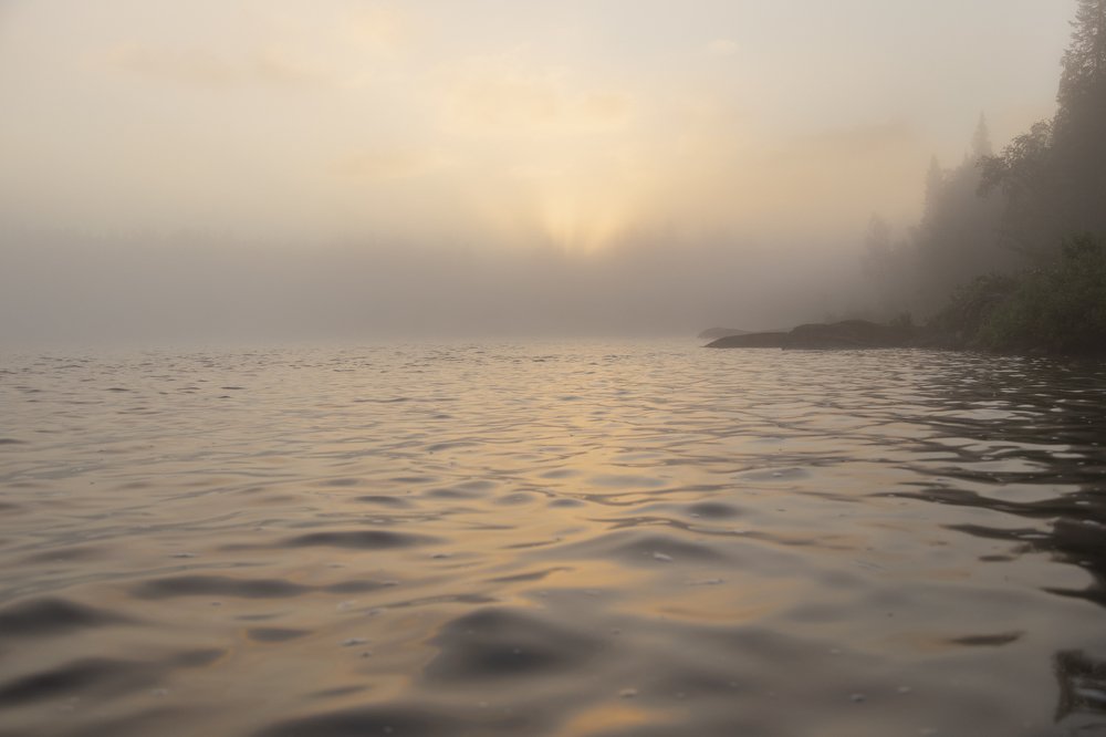 Photograph by Полина Чезганова