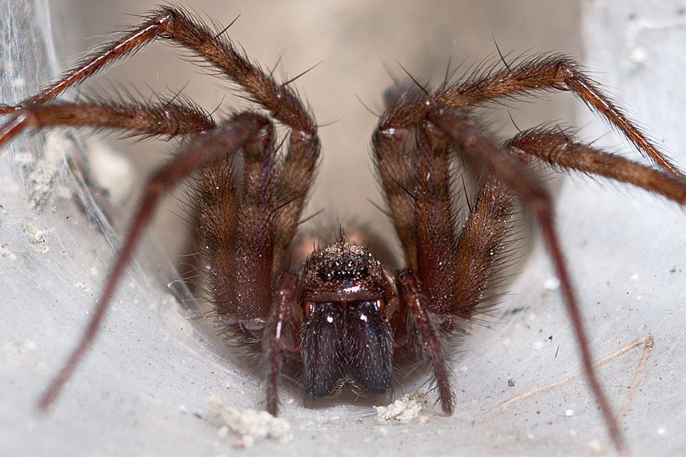 Photograph by Карякин Александр