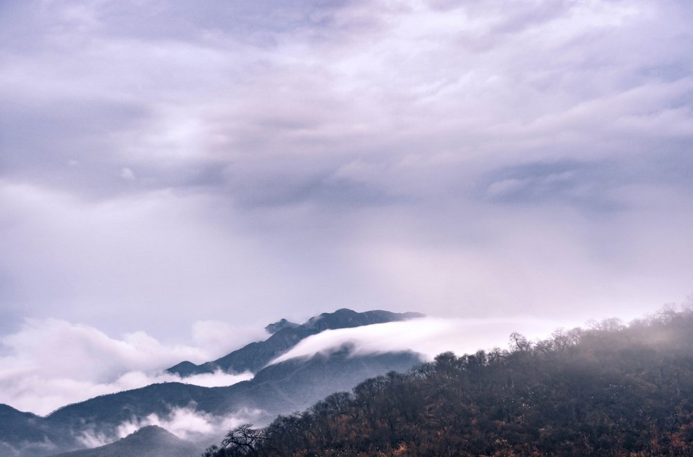 Photograph by Santiago Moreno