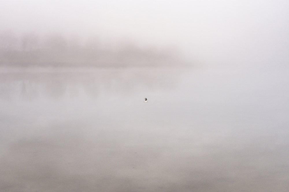 Photograph by Jakub Pasierkiewicz