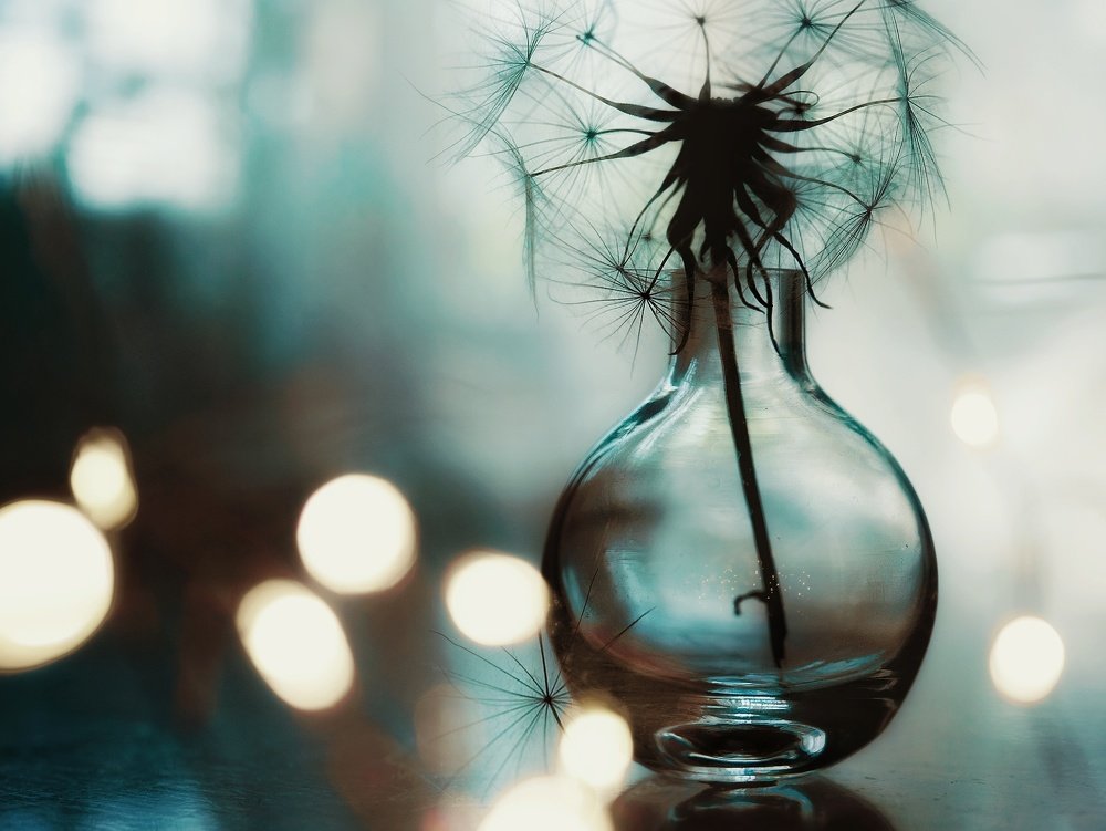 Photograph by Юлия Ильина