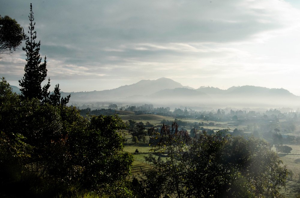 Photograph by Santiago Moreno