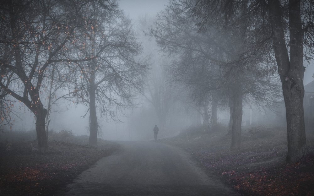 Photograph by Romanov Denis