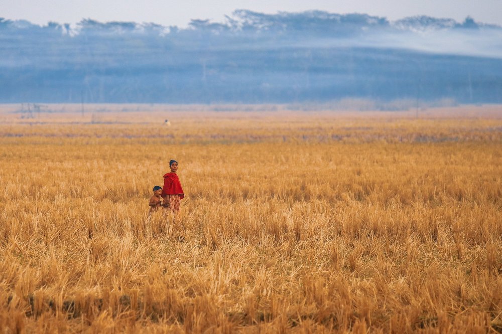 Photograph by kallyan kundu