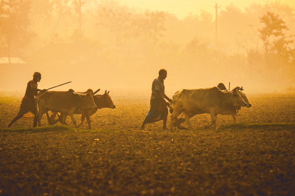 Photograph by kallyan kundu