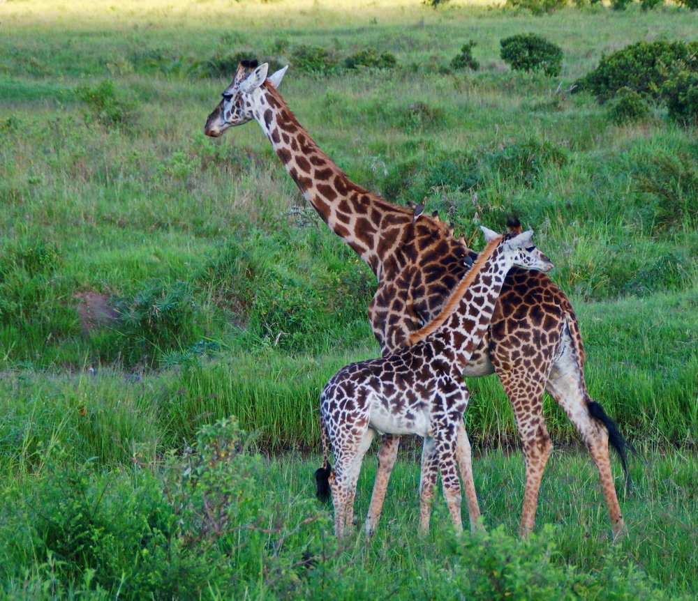 Photograph by Юрий Сычев