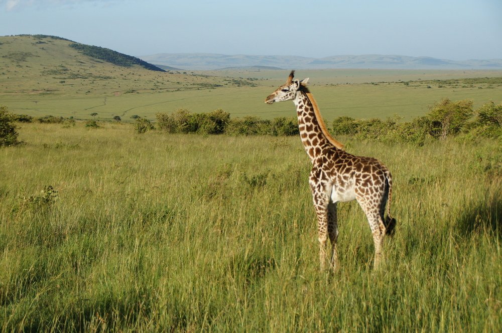 Photograph by Юрий Сычев